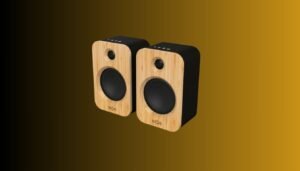 Best speakers for vinyl