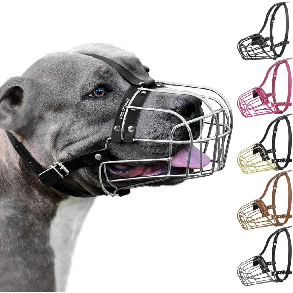 Black wire basket muzzle with padded nose bridge and leather straps for large dogs