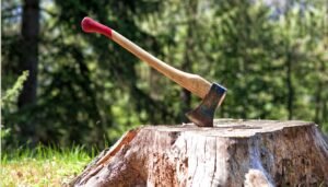 Best axe for splitting woods