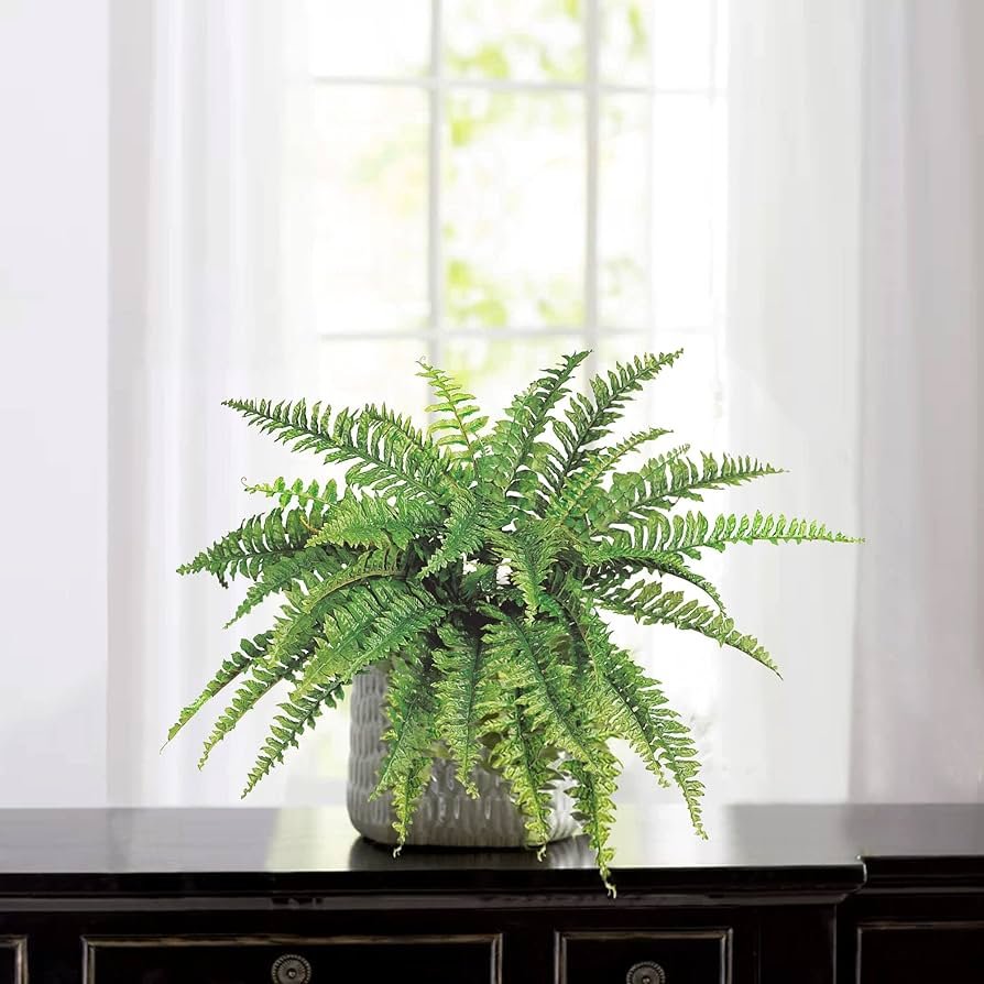 Boston fern with lush green fronds placed on bathroom shelf near window