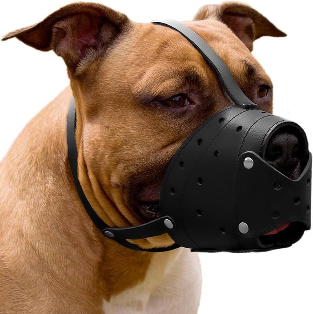 Handmade brown leather basket muzzle with two adjustable straps for a Pitbull-type snout