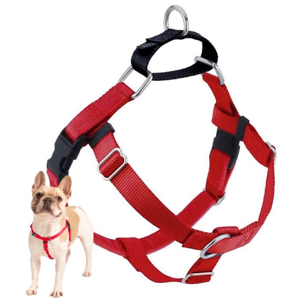 Freedom No Pull harness worn by a corgi on leash outdoors
