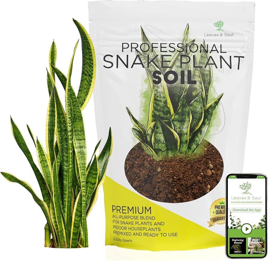 DIY snake plant soil mix with perlite sand and potting soil blended together