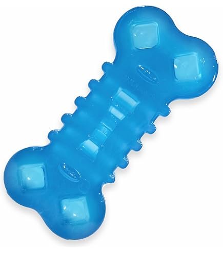 Nylabone Chill & Chew freezable puppy toy designed to cool gums during teething