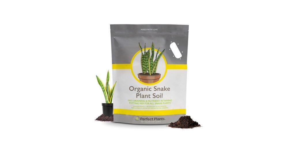 Perfect Plants organic snake plant soil mix in a pot with healthy upright leaves