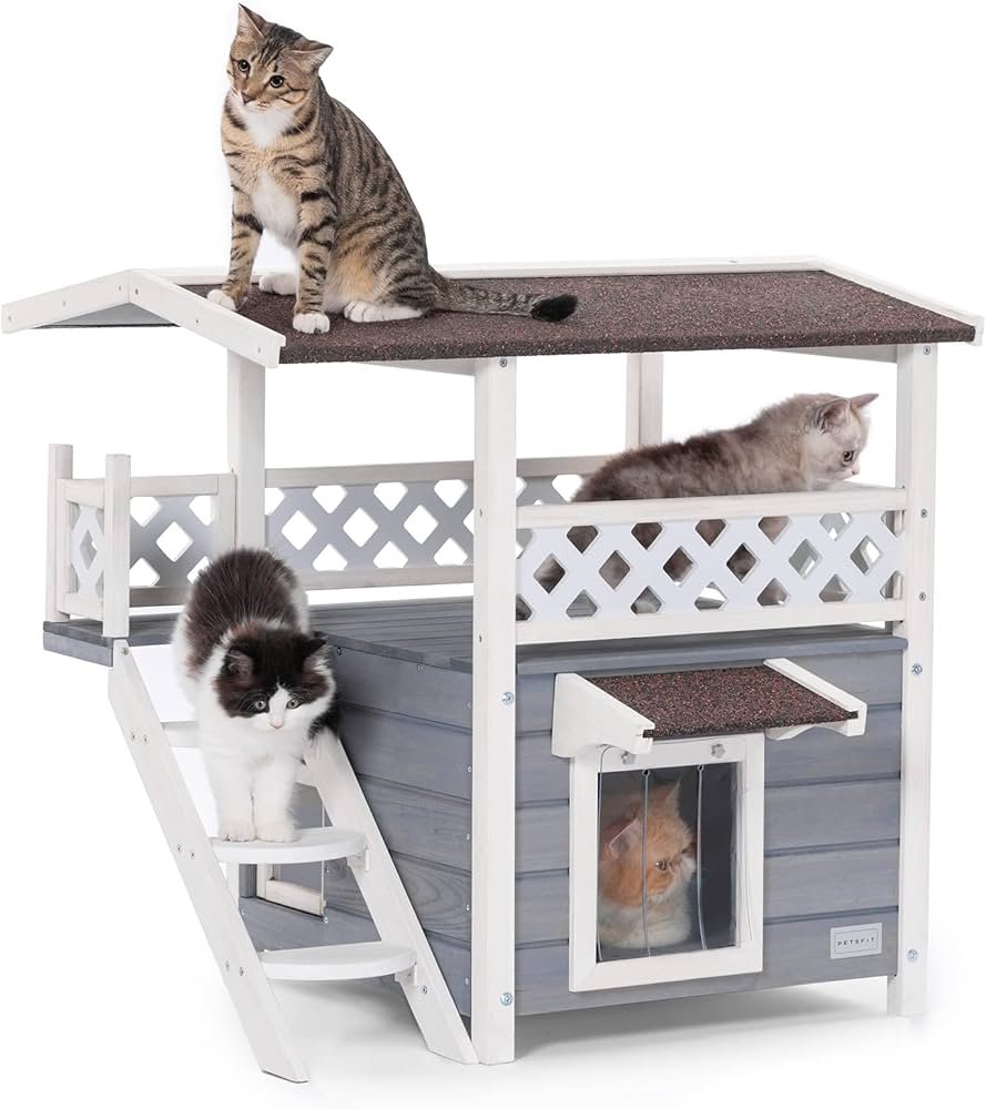 Petsfit wooden outdoor cat house with pitched roof and raised base placed in snowy backyard