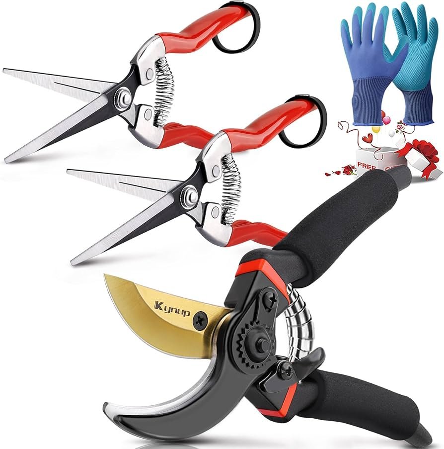 Handheld pruning shears trimming small tree stems in a garden