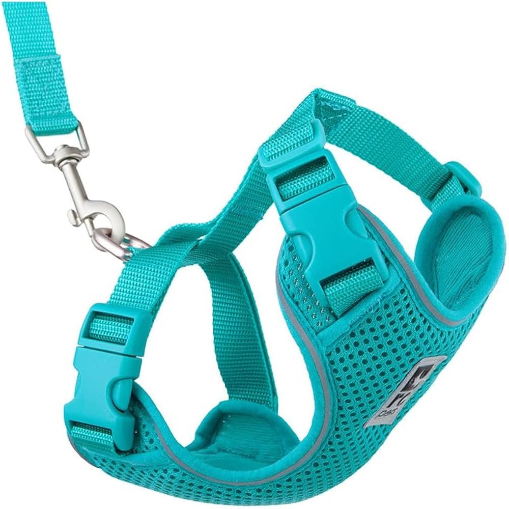 RC Pets Primary Kitty H-style adjustable cat harness with lightweight straps
