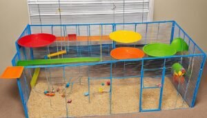 best cage for gerbils