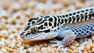 best substrate for leopard gecko