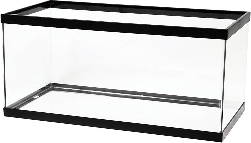 40-gallon breeder glass tank setup with deep bedding, hideouts, and a large running wheel