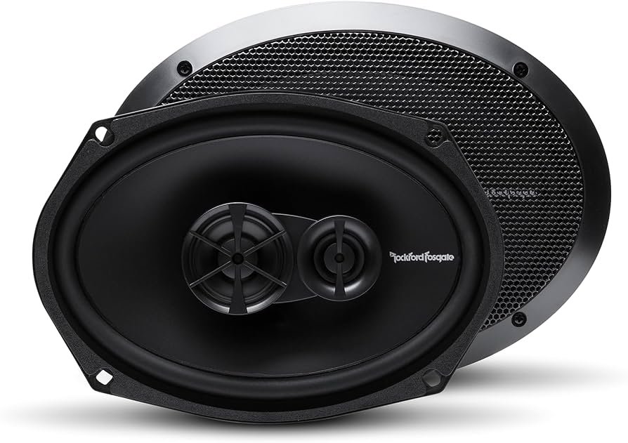 Rockford Fosgate R169X3