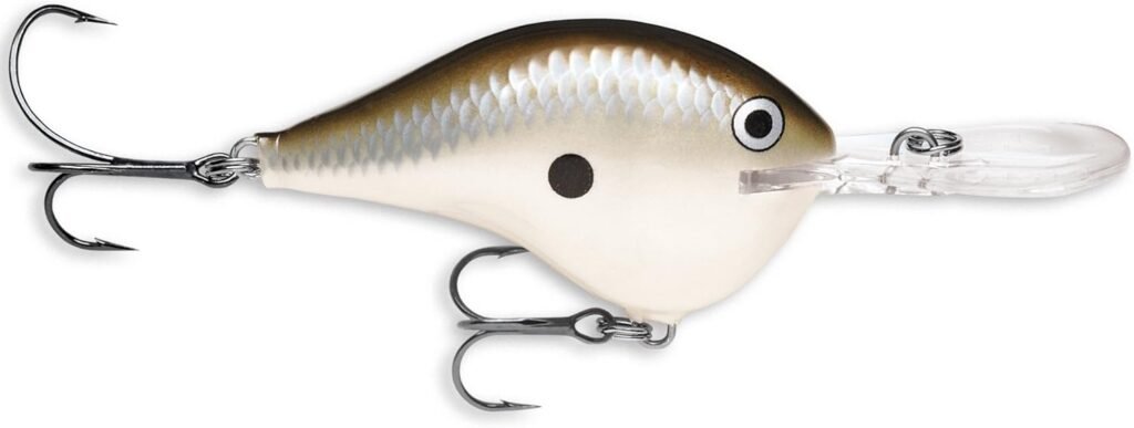 Rapala DT-6 – Best All-Round Medium Diver