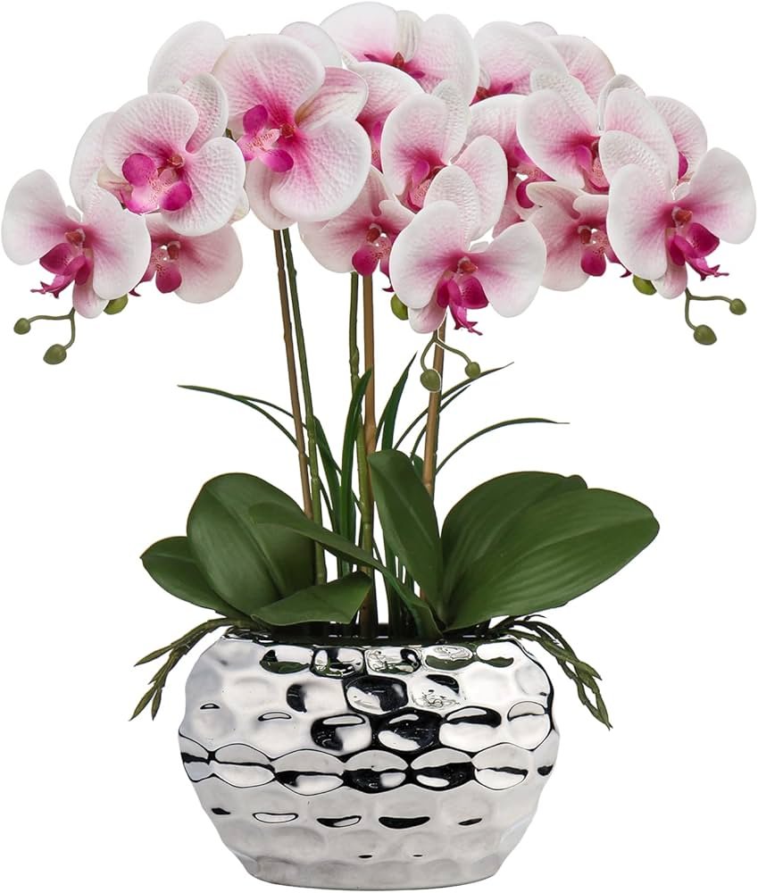 Phalaenopsis orchid with blooms on a tabletop near a window, featured as a best indoor plants for oxygen pick.