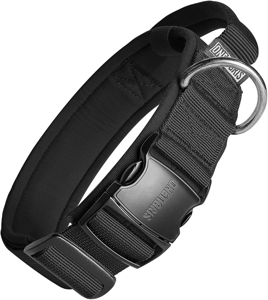 Wide tactical nylon collar with padded lining and a control handle, shown on a muscular pitbull for 2026 daily walks and training.
