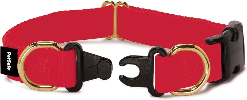 Breakaway dog collar with a safety-release buckle, shown on a pitbull for indoor wear and safe ID tag use.
