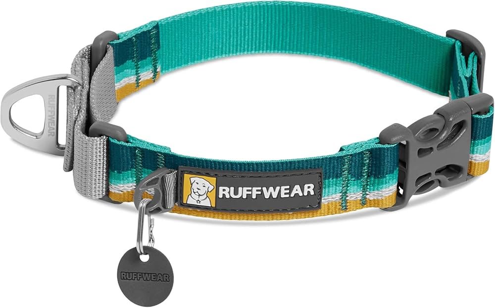 Martingale-style collar with a buckle and limited-tightening loop, fitted on a pitbull to reduce backing out during walks.